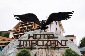 Pure Drive Experience 2024