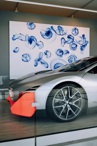 The Private Collection By BMW Danubiana.