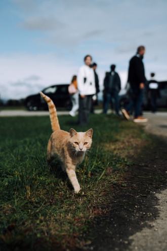 Pure Drive Experience 2024