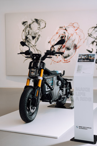 The Private Collection By BMW Danubiana.